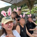 개몽이네 | [경기 양평] 서울 근교 애견 펜션 방문 후기- 몽이네펜션