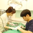 홍천치과기공소 | 홍천치과? 임플란트 앞둔 분들을 위한 편지 &lt;필독*&gt;