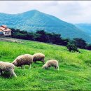 지리산목장 이미지