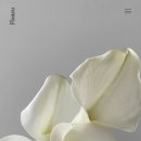 뉴클로버 | W3. Floneu_ 플로뉴 웨딩마켓 구매후기_촬영드레스구매후기👰🏻‍♀️🤍🤵🏻(구름, 클로버, 퍼스트)