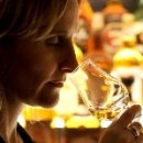 항공·체험관광 코스 이미지