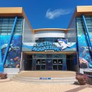 왕피천공원(동쪽) | [경북 과학관 울진아쿠아리움🐟] 동해 바다를 품은 울진아쿠아리움 방문 후기!