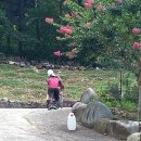 모아 지하수개발공사