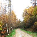 저금어지길 이미지