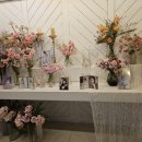 터틀하우스 이미지