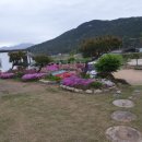 담양여자 화순남자 이미지