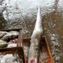 형제유통 이미지