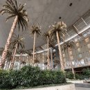 나이스마트대신점 | 이집트 자유여행 카이로 숙소 추천 월도프 아스토리아 카이로 헬리오폴리스 후기