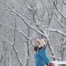 성철목장 이미지