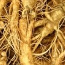 사상 체질과 약선 이미지