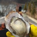 월등도민박 이미지