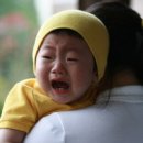 베이비쿠키