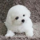 토실토실 이미지