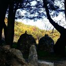 행정사제일합동사무소 이미지