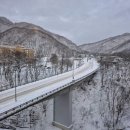 정호선 행정사 사무소 이미지