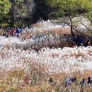 은빛추억 이미지