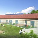 반려동물 테마파크 이미지