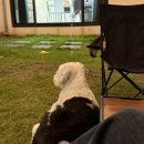 히든스테이 이미지