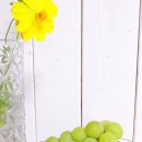 복주농장 이미지