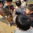 솔숲어린이집 이미지