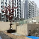 르컬렉티브속초중앙 | 속초 숙소 추천 수영장 사우나 있는 르컬렉티브 호텔 속초중앙