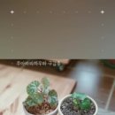 무아모먼트