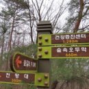 국립 양평 치유의 숲 이미지