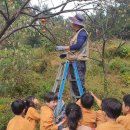 달산유치원 이미지