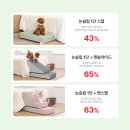 스텝헬스케어 네이버블로그