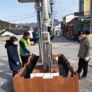 지마카롱 이미지