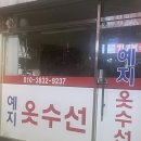 예지수선