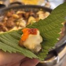 촌닭 | [포항 효자 맛집] 캠핑 분위기 신상술집 내돈내산 솔직 후기, 장닭과 촌닭 포항효자점