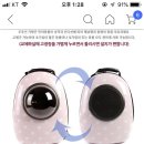 고양이 캐리어 사려고 하는데 어떤거 사줄까?? 이미지