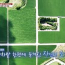 녹차마을영농조합