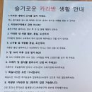 이현동 녹색마을 주차장 | 전남 담양 오랑쥬마을 카라반 캠핑 메타 자리 추천