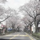 향기품은오빠 이미지