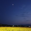 별헤는밤 이미지
