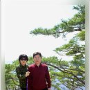 세구지 이미지