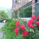 대금민박 이미지