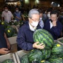 농산물시장4 이미지