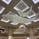 CU 공항원룸점 | 소노캄제주 슈페리어 클린 취사 수영장 사우나 30개월 아가랑 방문후기!