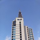 큐브 클럽 이미지