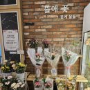 주식회사파파앤썬by랑콩뜨레(동구현대백화점) | 송정동 꽃집 추천 꽃 한송이도 선물가능한 꽃집추천, 파파애썬 by 랑콩뜨레 꽃 가게 뜰애꽃을 방문해보다