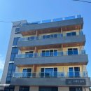 스테이옹치 이미지