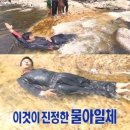 연탄집석쇠구이 이미지