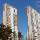 유승약국 이미지