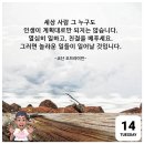 코난 오브라이언 이미지