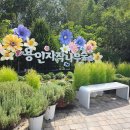 베툴라 자작나무숲 펜션 | 용인 자작나무숲 베툴라 카페 숲속 감성 가득한 핫플레이스 방문후기