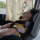 파스쿠찌 증평점 | [D+198~199] 6개월 끝자락 :증평 가볼만한 곳 '자전거공원'/ 심야영화데이트 '탑건' 후기