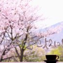 삼천대여소 이미지